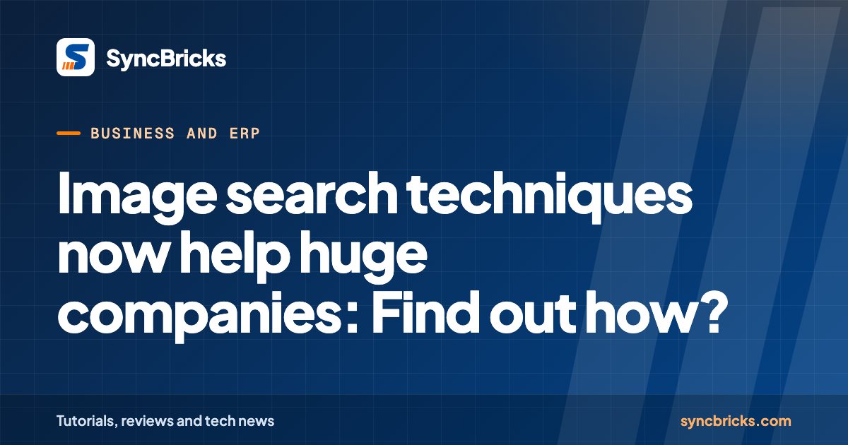 Image search techniques now help huge companies: Find out how?: SyncBricks cover