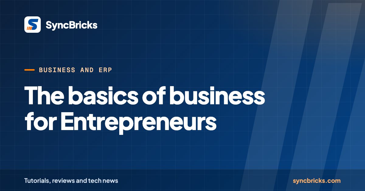 The basics of business for Entrepreneurs: SyncBricks cover
