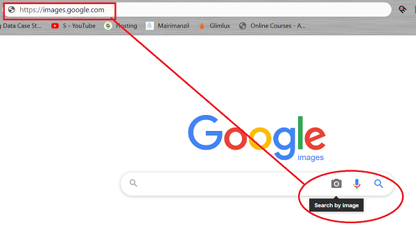 reverse image search